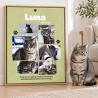 A framed personalized cat photo collage poster leaning against a wall on a wooden floor, next to a real tabby cat sitting on a rug in a living room. The poster is light green with the name 'Luna' at the top, several photos of the cat, paw prints, and a short message at the bottom.