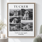 Custom Pet Memorial Monochrome Photo Collage Canvas Wall Art - framed canvas mockup