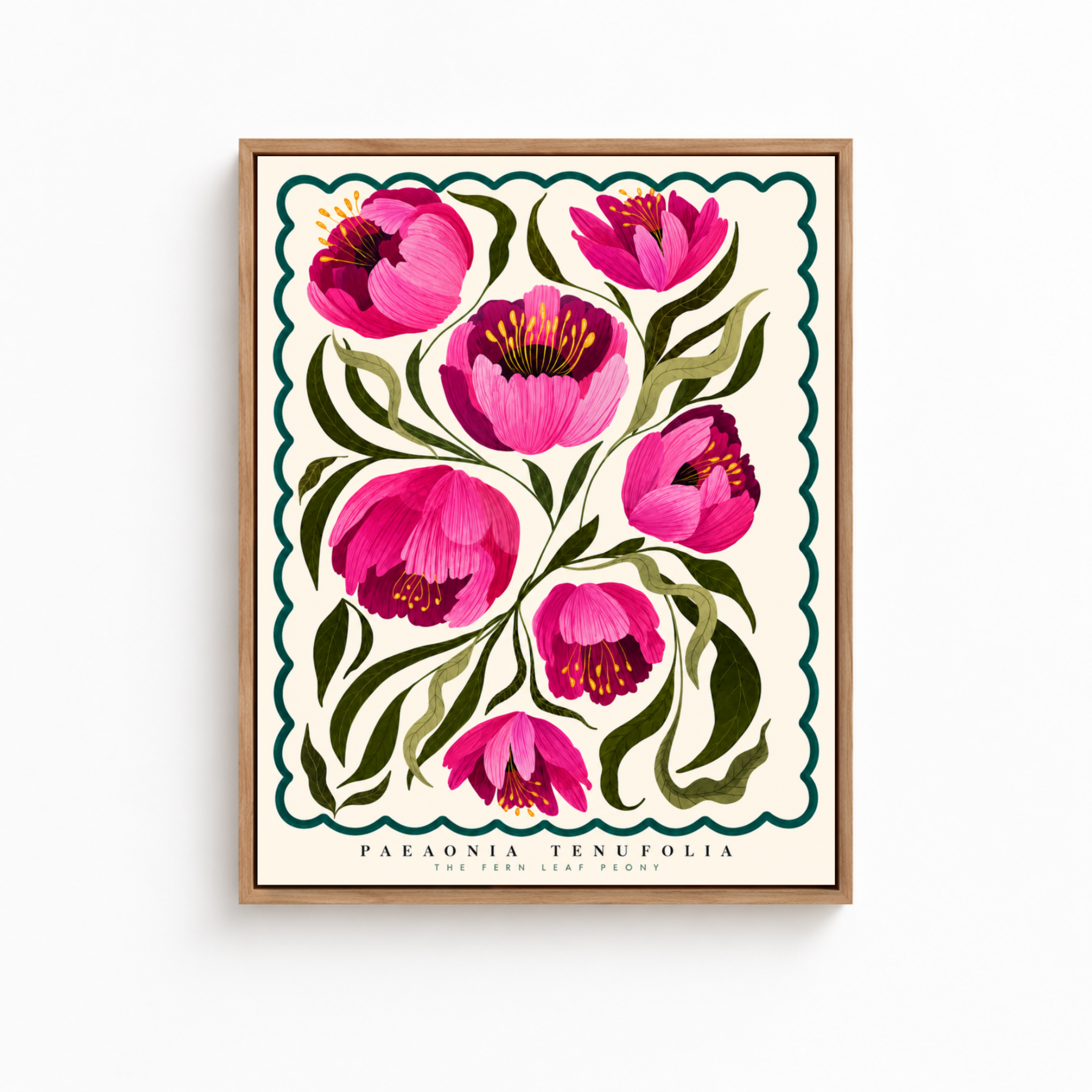 Pink Peony Botanical Canvas Wall Art Aura Canvas