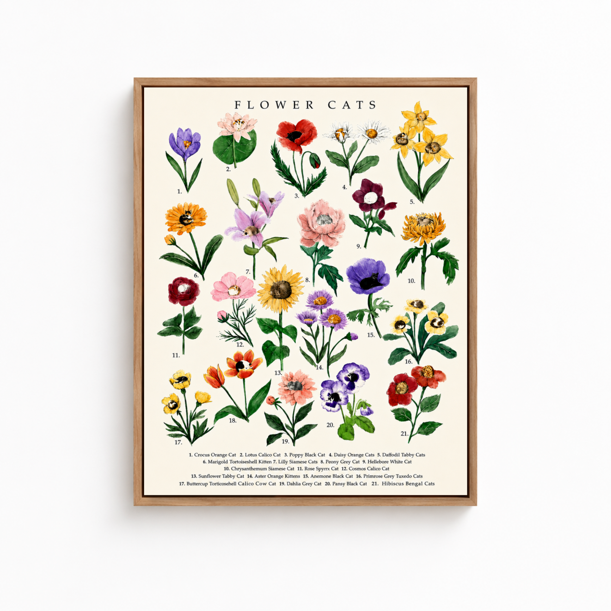 Botanical Flower Cats Canvas Wall Art Aura Canvas