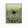 Black Cat Daisy Field Canvas Wall Art Aura Canvas