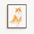 Custom Watercolor Cat Portrait Canvas Aura Canvas