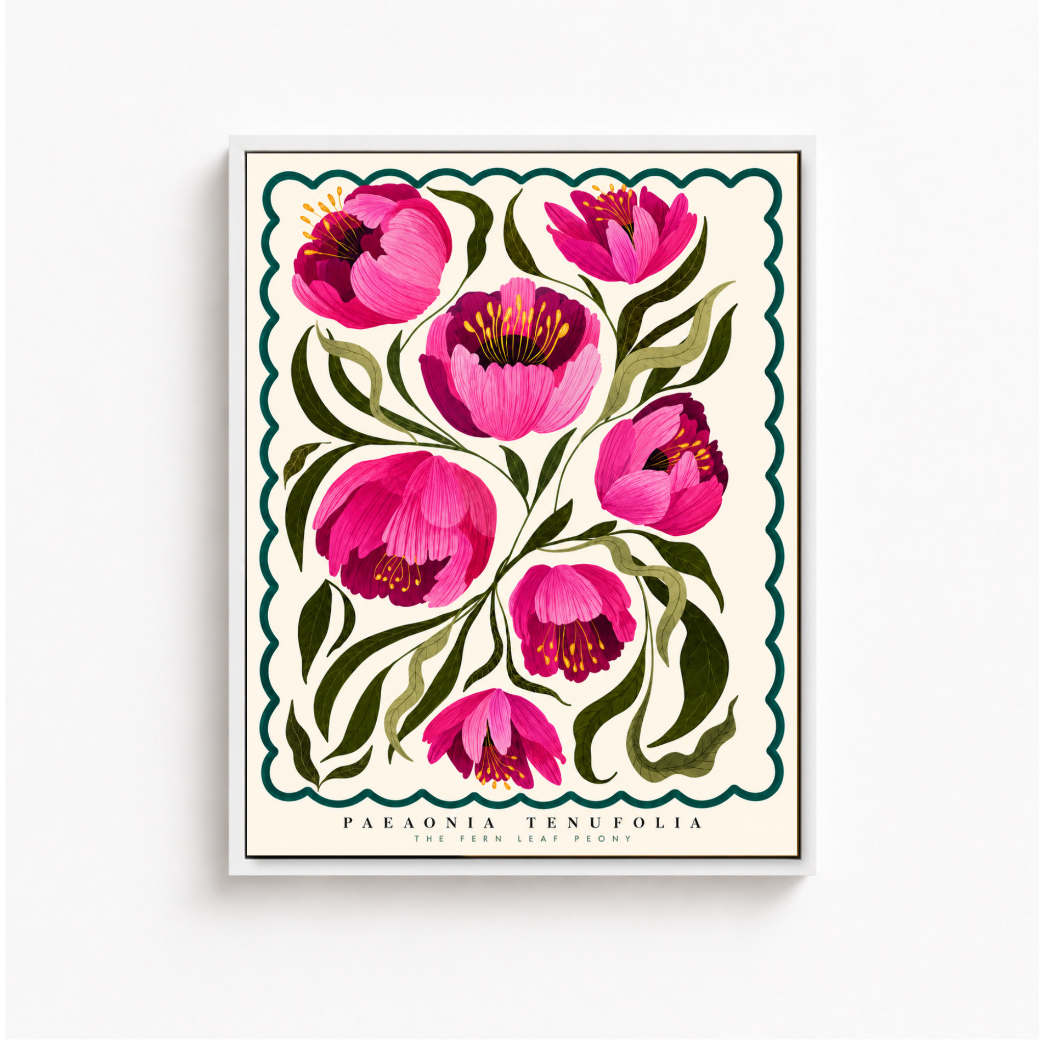 Pink Peony Botanical Canvas Wall Art Aura Canvas