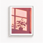 Pink Window Plant Canvas Wall Art Aura Canvas