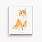 Custom Watercolor Cat Portrait Canvas Aura Canvas