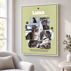 A framed personalized pet memorial poster hanging on a light beige wall in a living room setting. The poster features a light olive-green background with a collage of six photos of a cat named 'Luna', black paw prints, and a small red heart at the top.
