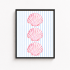 Pink Seashell Canvas Wall Art Aura Canvas