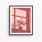 Pink Window Plant Canvas Wall Art Aura Canvas