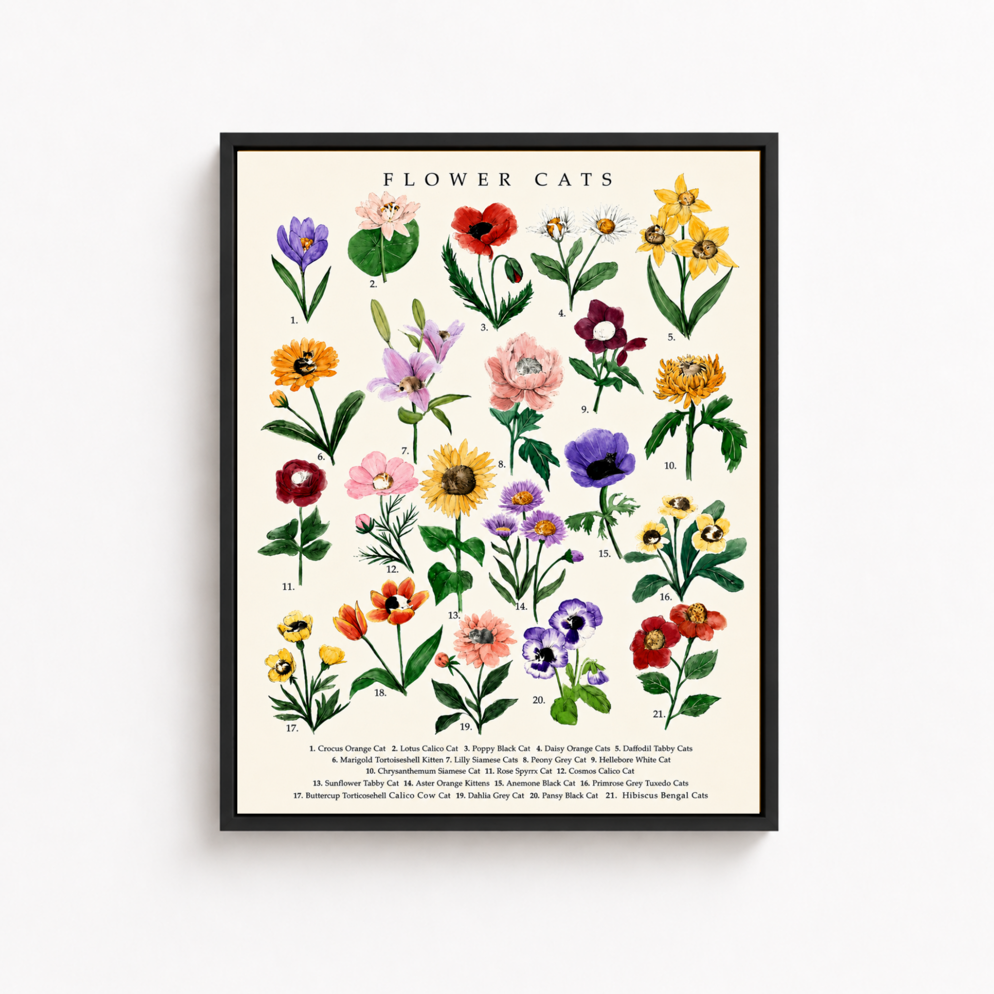 Botanical Flower Cats Canvas Wall Art Aura Canvas