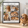 Custom Pet Memorial Photo Collage Canvas Wall Art - personalized canvas preview