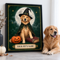 Custom Moonlit Wizard Pet Portrait Canvas Wall Art - personalized canvas preview